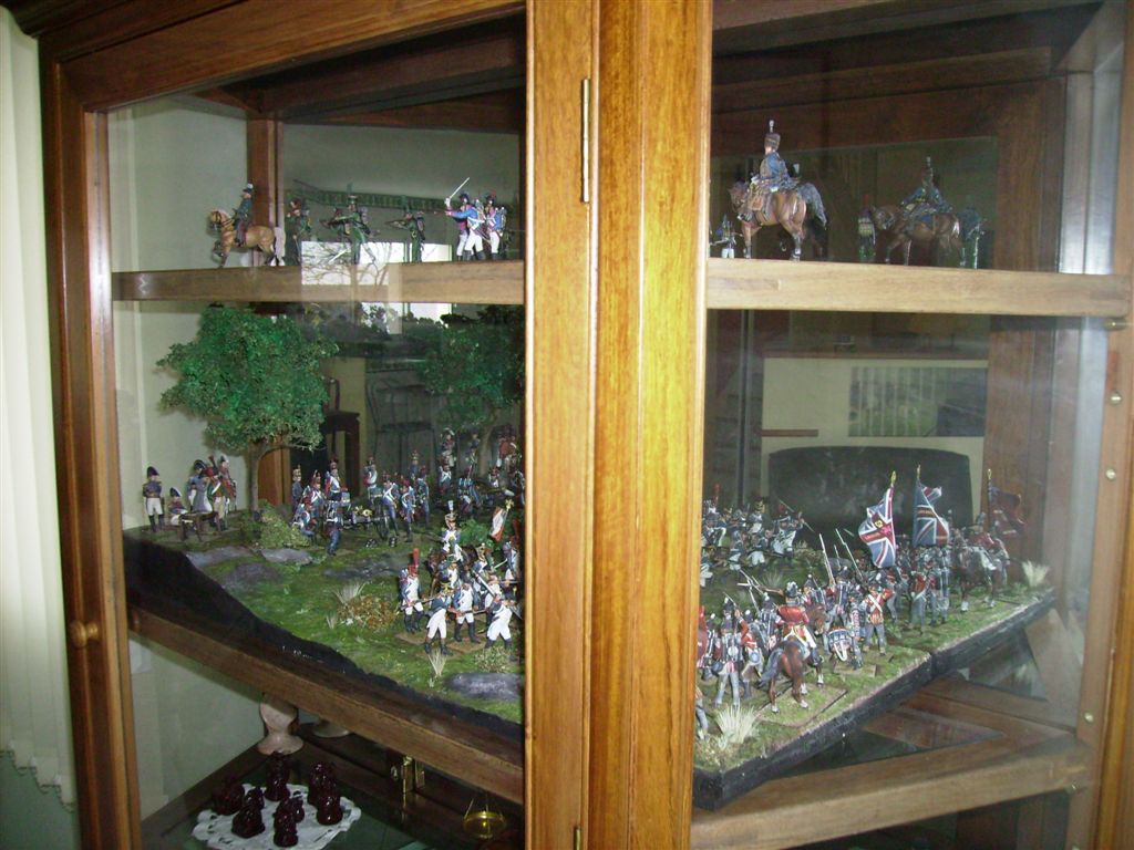 Cabinet Display.jpg